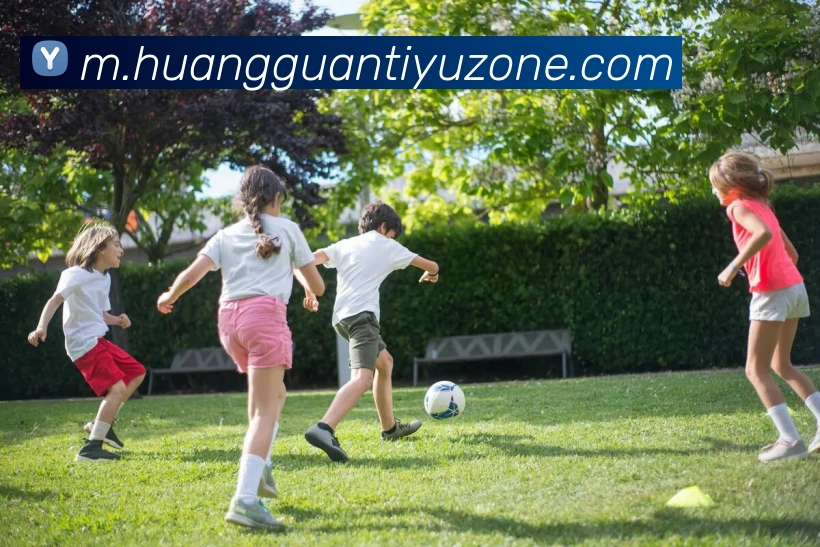 皇冠体育服务体系